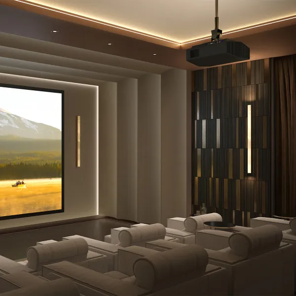 BRAVIA Projector 8 & 9