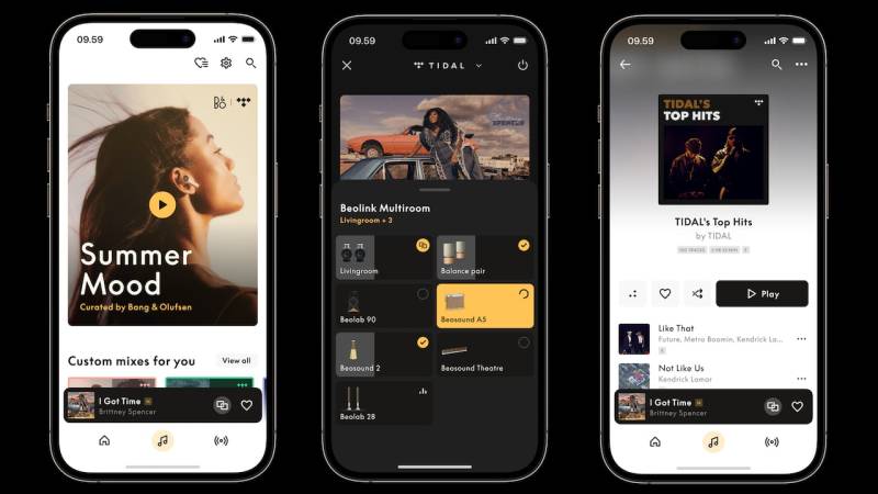 Installation Audio Multiroom